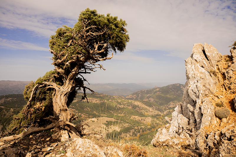 Vistas desde un mirador de la Sierra de SEgura